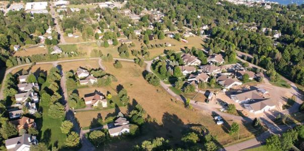 birches arial view